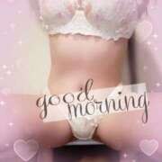 ヒメ日記 2026/03/28 08:45 投稿 はる なでしこ(十三)