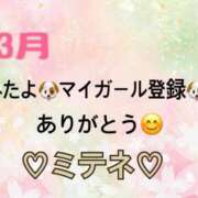 ヒメ日記 2026/03/28 10:02 投稿 はる なでしこ(十三)