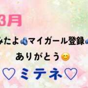 ヒメ日記 2026/03/29 10:02 投稿 はる なでしこ(十三)