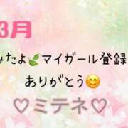 ヒメ日記 2026/03/31 10:02 投稿 はる なでしこ(十三)