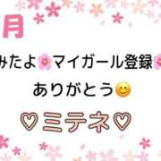 ヒメ日記 2026/04/01 10:02 投稿 はる なでしこ(十三)