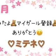ヒメ日記 2026/04/02 10:02 投稿 はる なでしこ(十三)