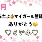 ヒメ日記 2026/04/04 10:03 投稿 はる なでしこ(十三)