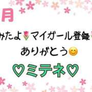 ヒメ日記 2026/04/05 10:03 投稿 はる なでしこ(十三)