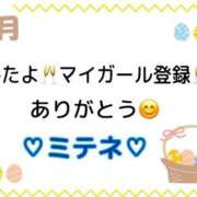 ヒメ日記 2026/04/06 10:02 投稿 はる なでしこ(十三)