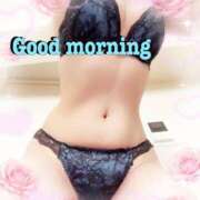 ヒメ日記 2026/04/08 08:45 投稿 はる なでしこ(十三)