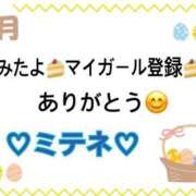 ヒメ日記 2026/04/08 10:01 投稿 はる なでしこ(十三)
