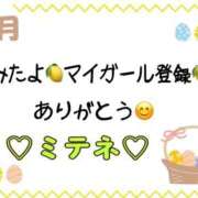 ヒメ日記 2026/04/11 10:03 投稿 はる なでしこ(十三)