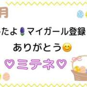 ヒメ日記 2026/04/12 10:02 投稿 はる なでしこ(十三)