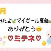 ヒメ日記 2026/04/13 10:07 投稿 はる なでしこ(十三)