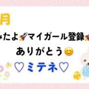 ヒメ日記 2026/04/16 10:02 投稿 はる なでしこ(十三)