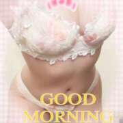 ヒメ日記 2026/04/17 08:45 投稿 はる なでしこ(十三)