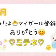 ヒメ日記 2026/04/17 10:02 投稿 はる なでしこ(十三)