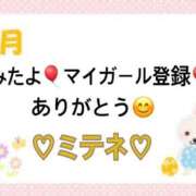 ヒメ日記 2026/04/18 10:03 投稿 はる なでしこ(十三)