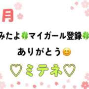 ヒメ日記 2026/04/21 10:02 投稿 はる なでしこ(十三)