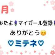 ヒメ日記 2026/04/22 10:02 投稿 はる なでしこ(十三)
