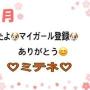 ヒメ日記 2026/04/23 10:02 投稿 はる なでしこ(十三)