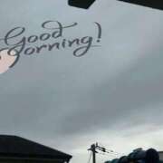 ヒメ日記 2026/04/24 10:20 投稿 はる なでしこ(十三)