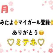 ヒメ日記 2026/04/25 10:03 投稿 はる なでしこ(十三)