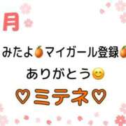 ヒメ日記 2026/04/26 10:03 投稿 はる なでしこ(十三)
