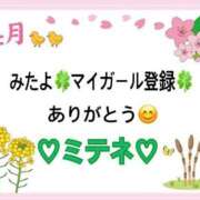 ヒメ日記 2026/04/27 10:02 投稿 はる なでしこ(十三)