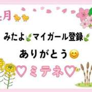 ヒメ日記 2026/04/29 10:04 投稿 はる なでしこ(十三)