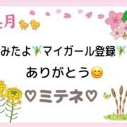 ヒメ日記 2026/04/30 10:03 投稿 はる なでしこ(十三)