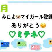 ヒメ日記 2026/05/02 10:04 投稿 はる なでしこ(十三)