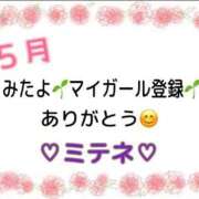 ヒメ日記 2026/05/04 10:03 投稿 はる なでしこ(十三)