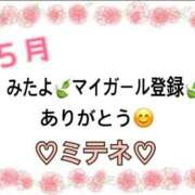 ヒメ日記 2026/05/09 10:02 投稿 はる なでしこ(十三)