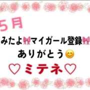 ヒメ日記 2026/05/10 10:03 投稿 はる なでしこ(十三)