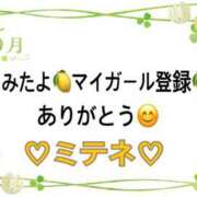 ヒメ日記 2026/05/12 10:02 投稿 はる なでしこ(十三)