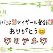 ヒメ日記 2026/05/13 10:02 投稿 はる なでしこ(十三)