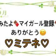 ヒメ日記 2026/05/15 10:02 投稿 はる なでしこ(十三)