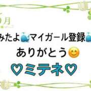 ヒメ日記 2026/05/17 10:03 投稿 はる なでしこ(十三)