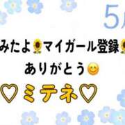 ヒメ日記 2026/05/20 10:02 投稿 はる なでしこ(十三)