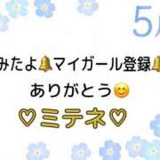 ヒメ日記 2026/05/21 10:01 投稿 はる なでしこ(十三)