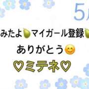 ヒメ日記 2026/05/22 10:02 投稿 はる なでしこ(十三)