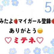 ヒメ日記 2026/05/23 10:03 投稿 はる なでしこ(十三)