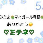ヒメ日記 2026/05/24 10:03 投稿 はる なでしこ(十三)