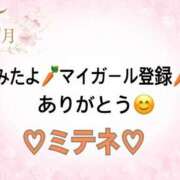 ヒメ日記 2026/05/25 10:02 投稿 はる なでしこ(十三)