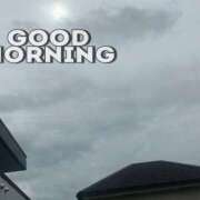 ヒメ日記 2026/05/27 08:03 投稿 はる なでしこ(十三)