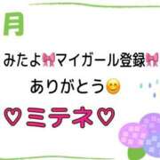 ヒメ日記 2026/06/02 10:02 投稿 はる なでしこ(十三)