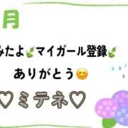 ヒメ日記 2026/06/04 10:02 投稿 はる なでしこ(十三)