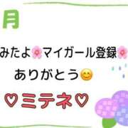 ヒメ日記 2026/06/05 10:02 投稿 はる なでしこ(十三)