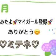 ヒメ日記 2026/06/06 10:03 投稿 はる なでしこ(十三)