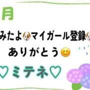ヒメ日記 2026/06/07 10:02 投稿 はる なでしこ(十三)