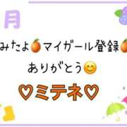 ヒメ日記 2026/06/08 10:02 投稿 はる なでしこ(十三)