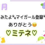 ヒメ日記 2026/06/10 10:02 投稿 はる なでしこ(十三)