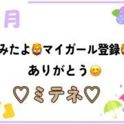 ヒメ日記 2026/06/11 10:02 投稿 はる なでしこ(十三)